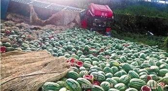 吃瓜网瓜闻天下,吃瓜网带你领略最新热点事件