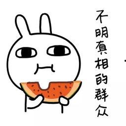 娱乐吃瓜酱远离负能量,与娱乐吃瓜酱共度美好时光